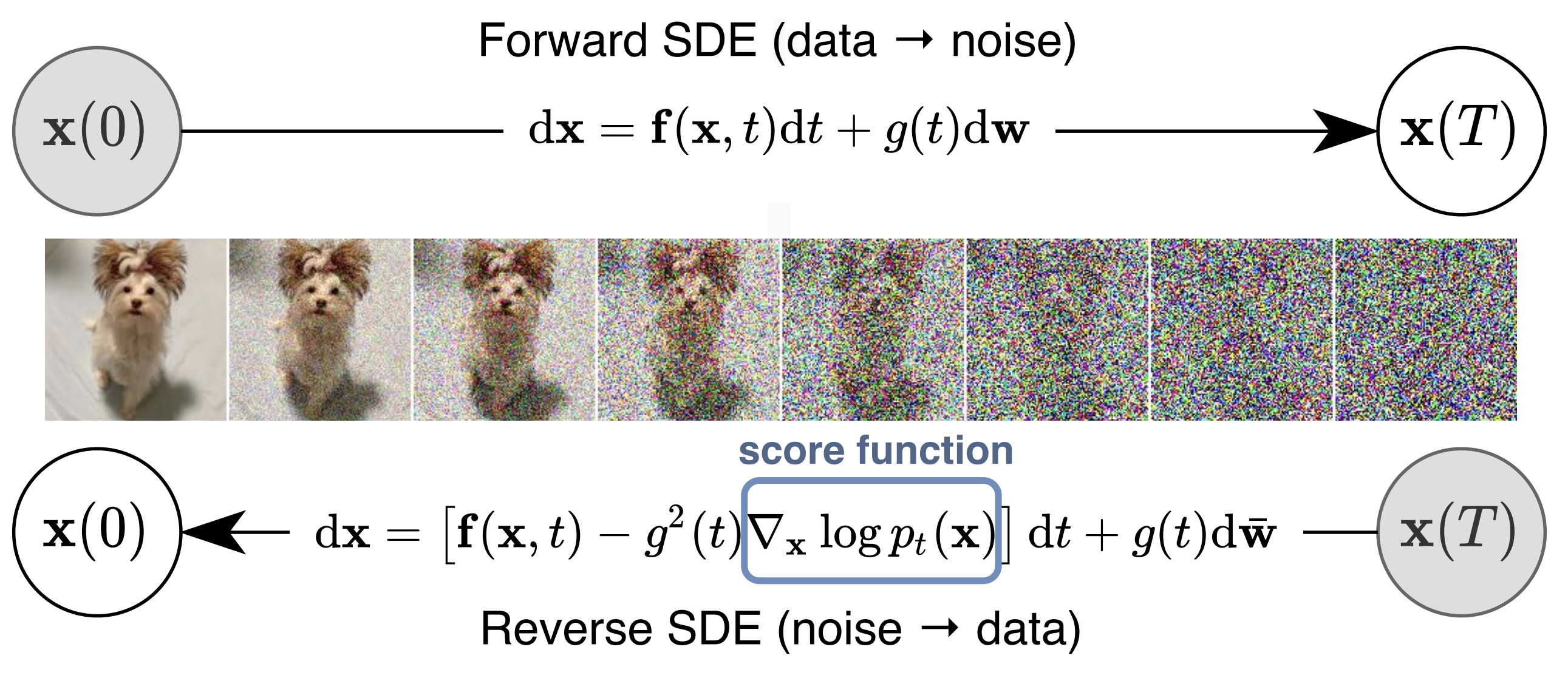 Figure 1 of Song et al. 2020. Forward SDE turning data into noise (top) and the score-driven reverse SDE turning noise back into data (bottom), with intermediate sample crops at increasing noise levels.